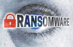 Ransomware attacks on 740 organizations increased 47% year over year