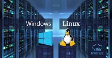 Linux and Windows servers