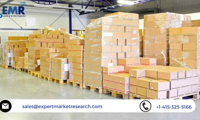 Cold Chain Packaging Market