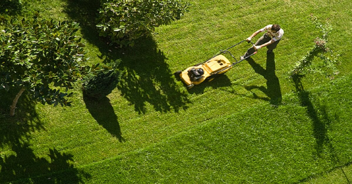 An image of Electric Grass Cutting Machine