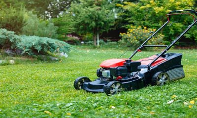 An image of Lawn Mower machine