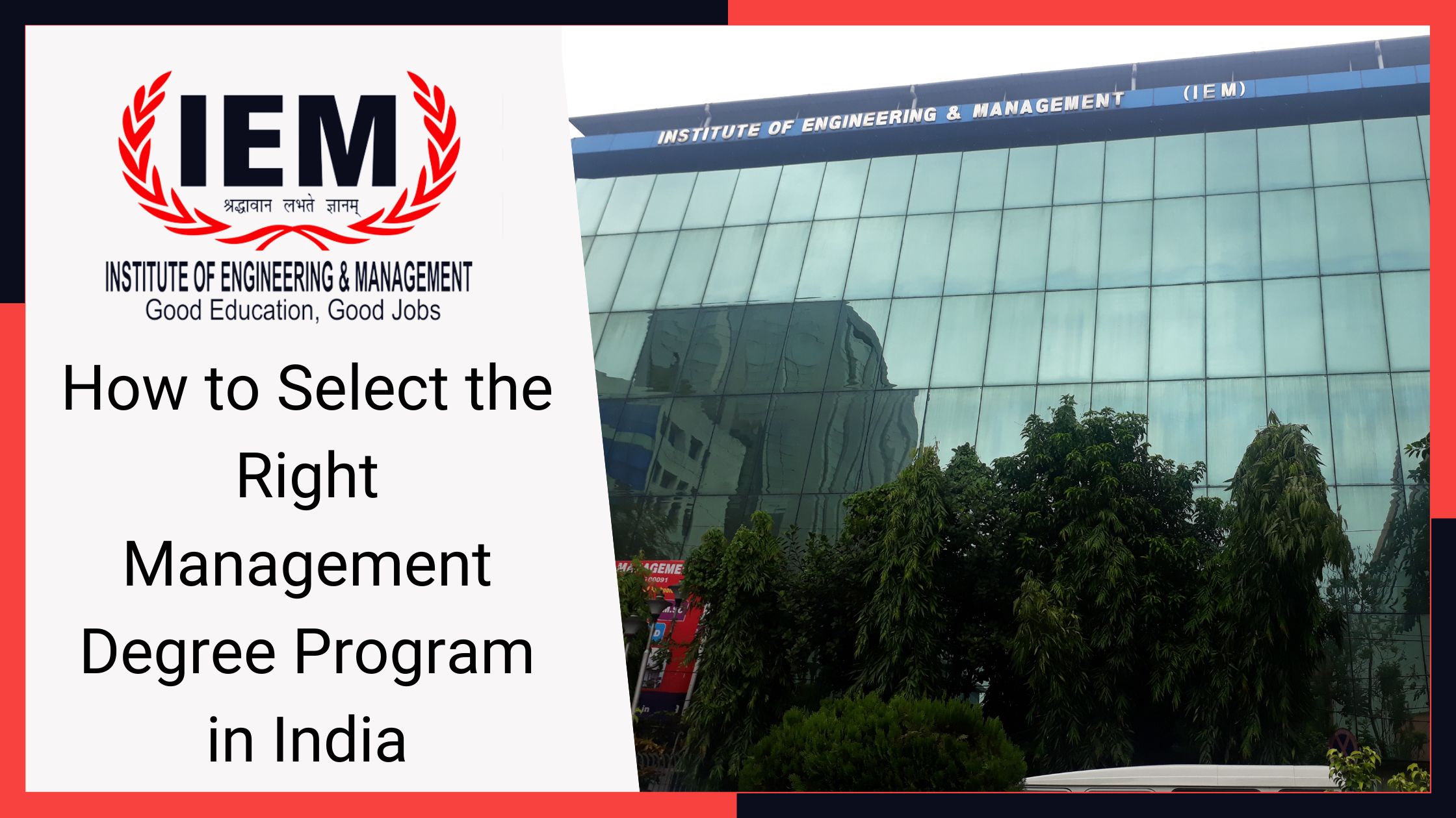 How to Select the Right Management Degree Program in India