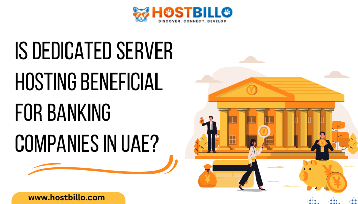 Is Dedicated Server Hosting Beneficial For Banking Companies in UAE?