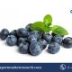 Organic Berries Market Trends
