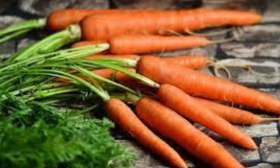 Health Welfares of Eating Carrots Every Time