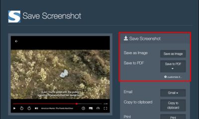 How To Screenshot Netflix On PC