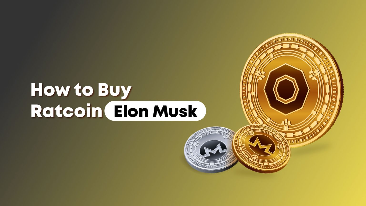 Elon Musk New Digital Currency