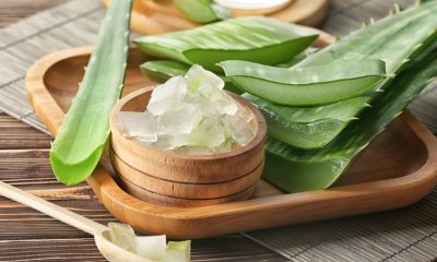 There are many health benefits associated with aloe vera