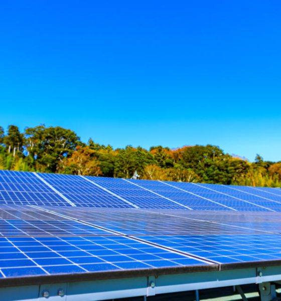 Unlock Utility Savings With Solar Panels